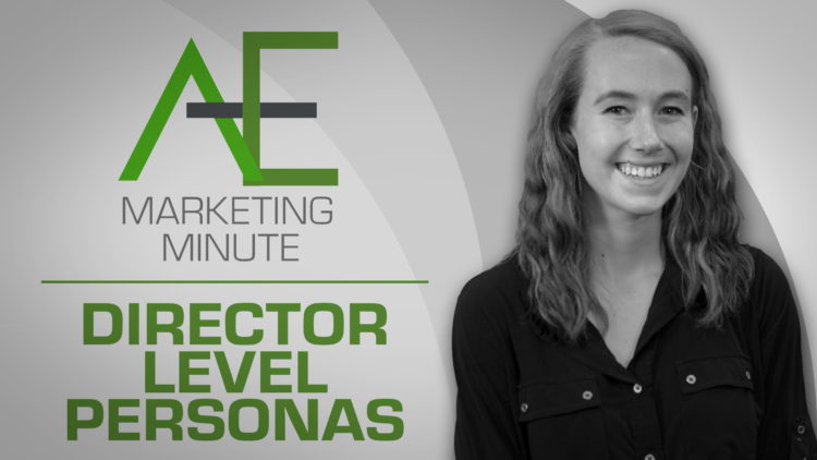 director-level-buyer-personas-ae-marketing-group-buyer-persona-lab-series